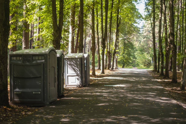 Best Portable bathroom rental  in Amboy, IL